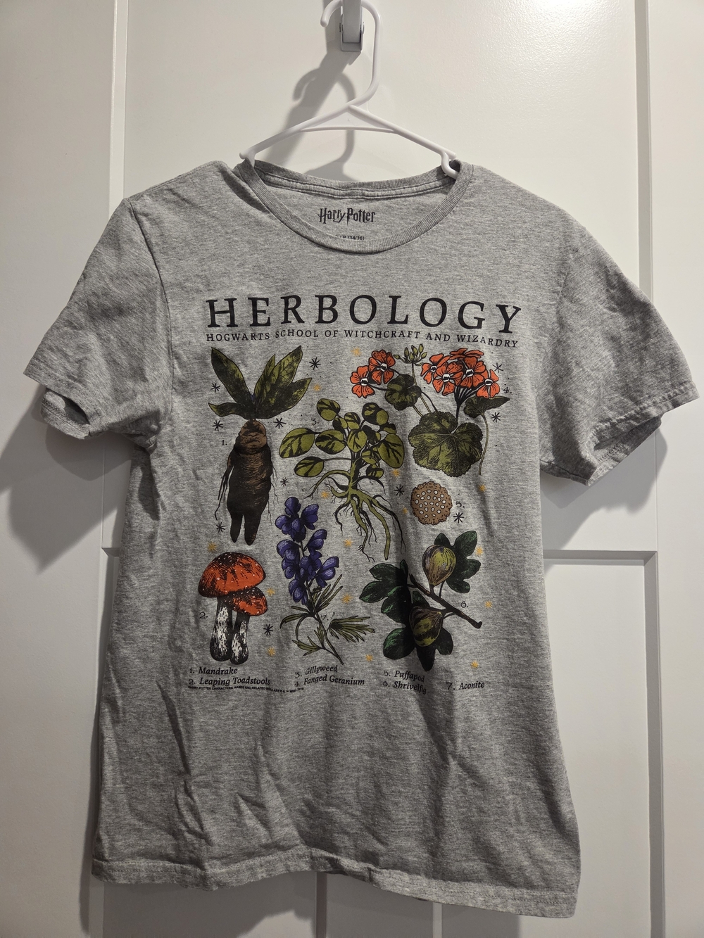 Harry Potter Herbology Graphic Tee - Gray